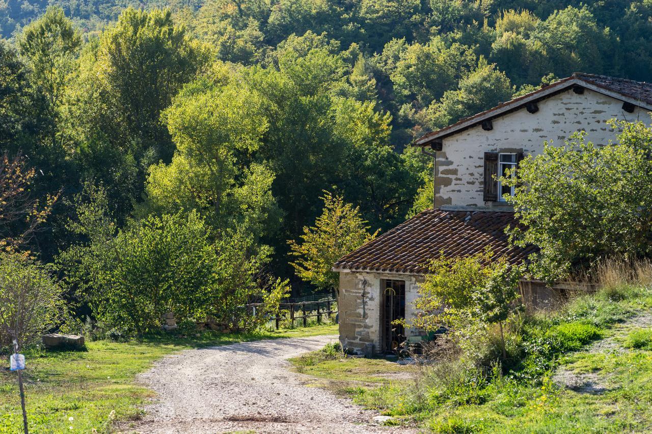 Hotel Agriturismo L'Oca Blu Gubbio Exterior foto